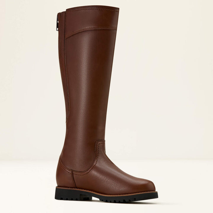 Ariat women's arlington waterproof boot
