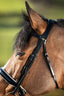 HFI weymouth bridle - HorseworldEU