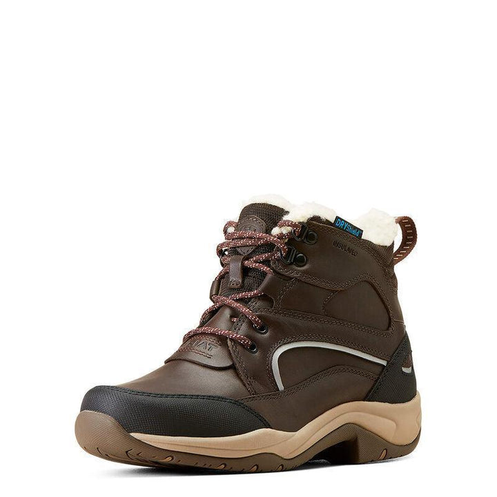Ariat telluride waterproof insulated boots for ladies - HorseworldEU