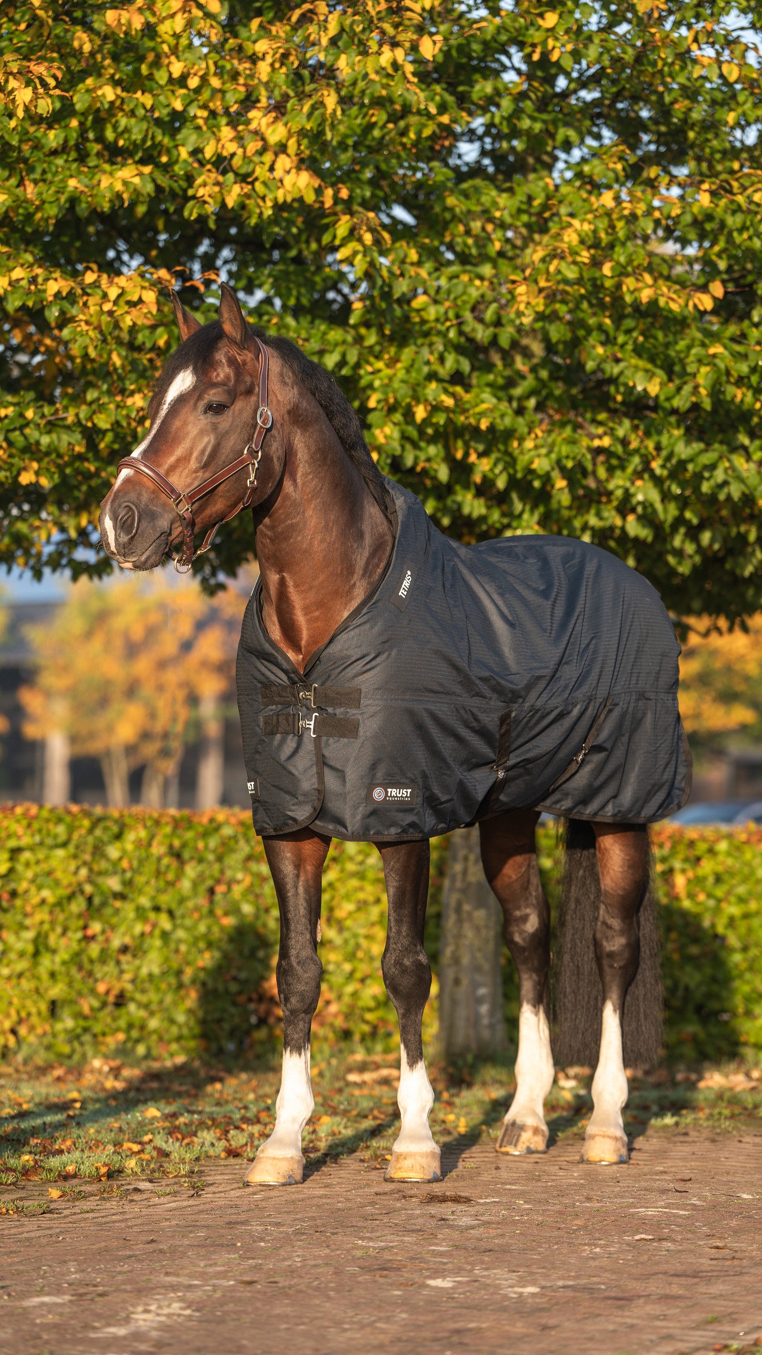 Trust equestrian tetris outdoor rug