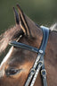 HFI anatomic bridle - HorseworldEU