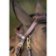 Hfi combo bridle / halter HFI