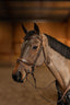 HFI edges bridle - HorseworldEU