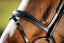 HFI elegant bridle - HorseworldEU