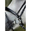 HFI luxe bridle HFI