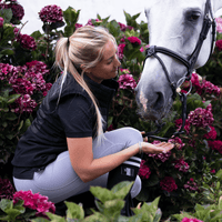 HFI straight browband with strass - HorseworldEU