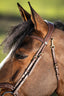 HFI techno bridle - HorseworldEU