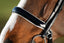 HFI weymouth bridle - HorseworldEU