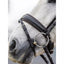 LeMieux classic dressage bridle Lemieux