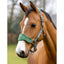 LeMieux Vogue headcollar and Leadrope Lemieux