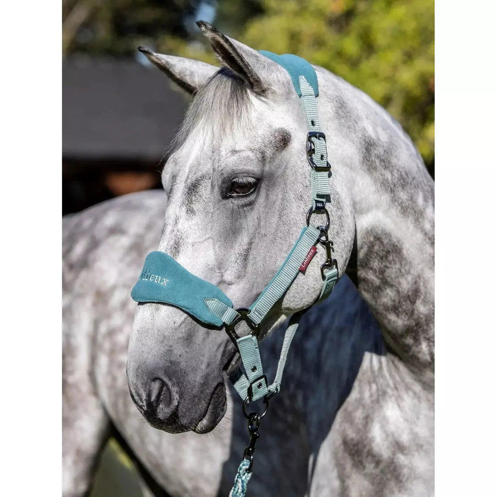 LeMieux Vogue headcollar and Leadrope Lemieux