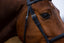 Trust Amsterdam Combined noseband bridle anatomic - HorseworldEU